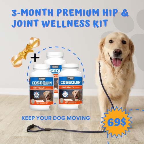 3‑Month Premium Hip & Joint Wellness Kit — Keep Your Dog Moving